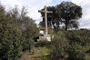Filename=DSC01214.jpg
Filesize=416KiB
Dimensions=1000x669
Date added=Apr 27, 2007 DSC01214.jpg