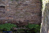 Filename=DSC01226.jpg
Filesize=300KiB
Dimensions=1000x669
Date added=Apr 27, 2007 DSC01226.jpg