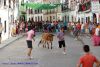 DSC04437.jpg
