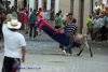 DSC04469.jpg