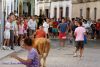 DSC04559.jpg