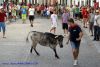 DSC04599.jpg