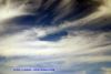 DSC05599.jpg
