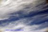 DSC05605.jpg