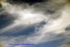 DSC05622.jpg