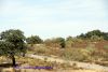 DSC05624.jpg