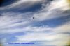 DSC05626.jpg