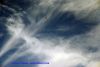 DSC05652.jpg
