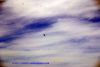 DSC05656.jpg
