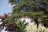 DSC07102.jpg