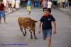 DSC07236.jpg