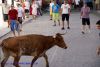 DSC07237.jpg