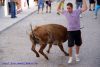 DSC07239.jpg