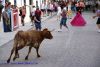 DSC07243.jpg