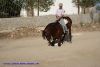 DSC08133.jpg