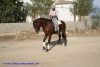 DSC08136.jpg