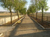 Filename=antes.jpg
Filesize=78KiB
Dimensions=450x338
Date added=Mar 01, 2007 antes.jpg