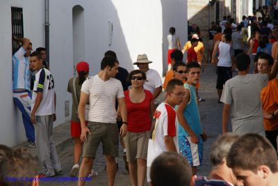 DSC05373.jpg