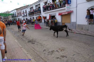 DSC05493.jpg