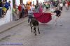 DSC05351.jpg
