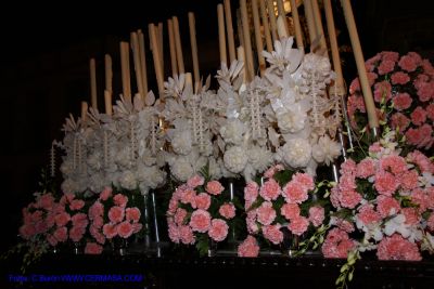 DSC07464.jpg